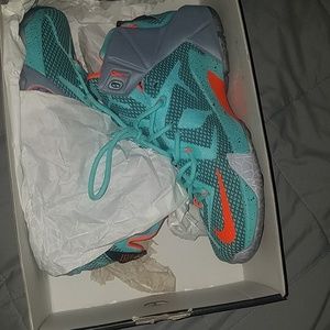 Lebron XII